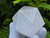 PacificGeo Crystal Quartz Carved Geometric Icosahedron, Large Decorative, Collectible, Healing Crystal