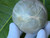 Green Moonstone Sphere Big (62mm 315gm), Stone of self-love, Natural Polished Garnierite From Madagascar