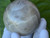 Green Moonstone Sphere Big (62mm 315gm), Stone of self-love, Natural Polished Garnierite From Madagascar