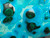 Chrysocolla and Malachite Rare Large Freeform Specimen (85mm, 283gm) Natural Collectible Decorative Gift