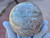 Sunstone Heliolite Sphere "Stone of joy & fortune" Large (80mm 680gm) Natural Polished Collectible
