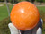 Orange Calcite, Stone of Creativity, Confidence, and Joy (65 mm 445 gm) Natural Polished Decorative Mexico