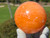 Orange Calcite, Stone of Creativity, Confidence, and Joy (65 mm 445 gm) Natural Polished Decorative Mexico