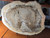 Petrified Wood Stone Fossil Decorative Crystal Slice Collectible Decorative Home Accent