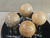 Fossil Coral Sphere (60+mm 285+gm) Rare Madagascar Polished Ancient Marine Gemstone Luxury Home Accent