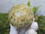 Vesuvianite Sphere (60+mm 340+gm) Rare Polished Luxury Home Accent Healing Crystal