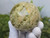 Vesuvianite Sphere (70+mm 640+gm) Rare Polished Luxury Home Accent Healing Crystal