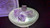 Selenite Bowl, 4.75" Large Carved Polished Selenite Crystal, High Quality Decorative Home Accent Gift Item Healing Crystal