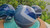 Blue Banded Agate Crystal Sphere Large (3.5 in 2 lb) Brazil Dyed Decorative Home Accent Healing Crystal
