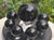 Black Obsidian Carved Spheres (225+ gm, 55+ mm) Polished Decorative Home Accent Collectible Healing Crystal