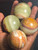 Banded Onyx Sphere ( Small 45+mm 140+gm) "Stone of strength, balance, and protection" Decorative Healing Crystals