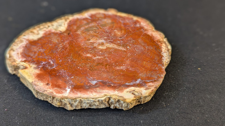 Petrified Wood Stone Decorative Crystal Slices