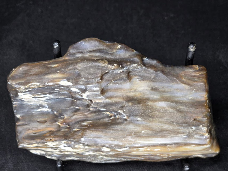 Petrified Wood Log Large Natural Decorative Crystal (04)