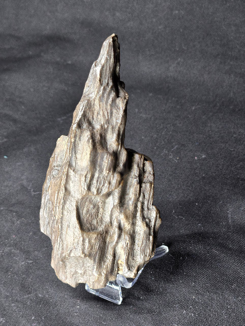 Petrified Wood Log Large Natural Decorative Crystal (05)