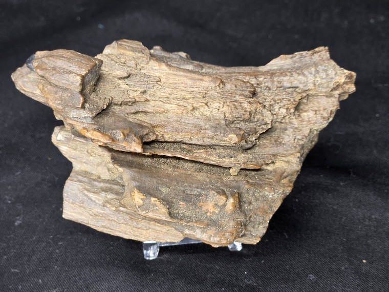 Petrified Wood Log Large Natural Decorative Crystal (07)