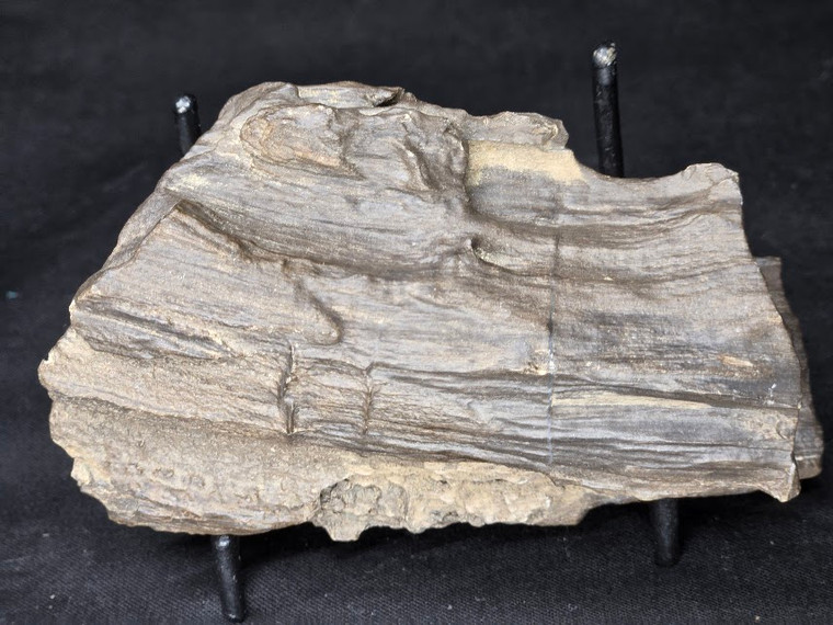 Petrified Wood Log Large Natural Decorative Crystal (06)