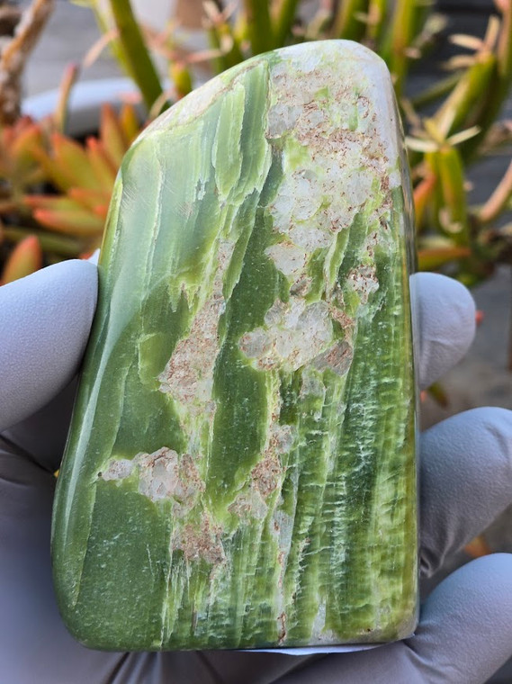 Healerite Noble Serpentine Tumbled Polished Flat-based Standing Specimen (HNS02)