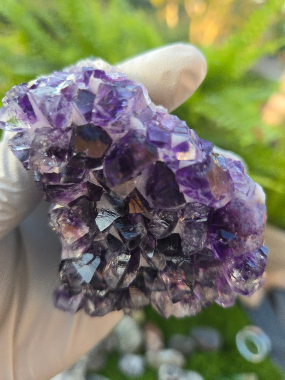 Amethyst Quartz Crystal Cluster Deep Purple (#2)