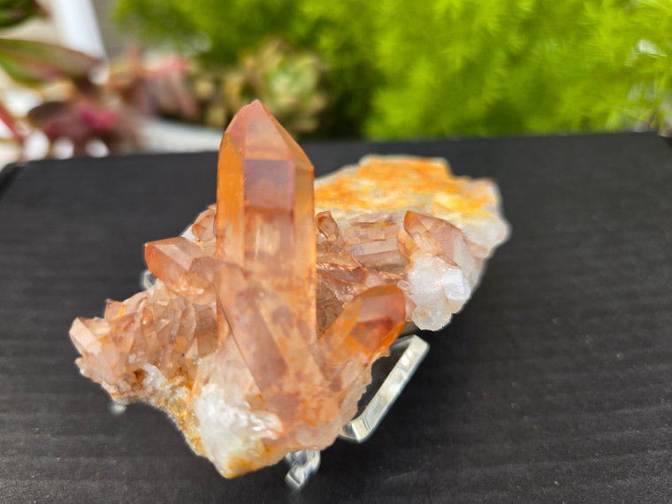 Tangerine Quartz Specimen Natural Crystals Cluster (TN16)