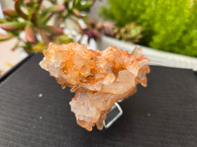 Tangerine Quartz Specimen Natural Crystals Cluster (TN10)