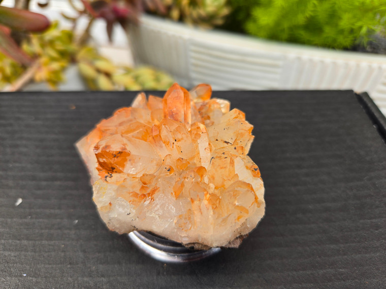 Tangerine Quartz Specimen Natural Crystals Cluster (TN9)