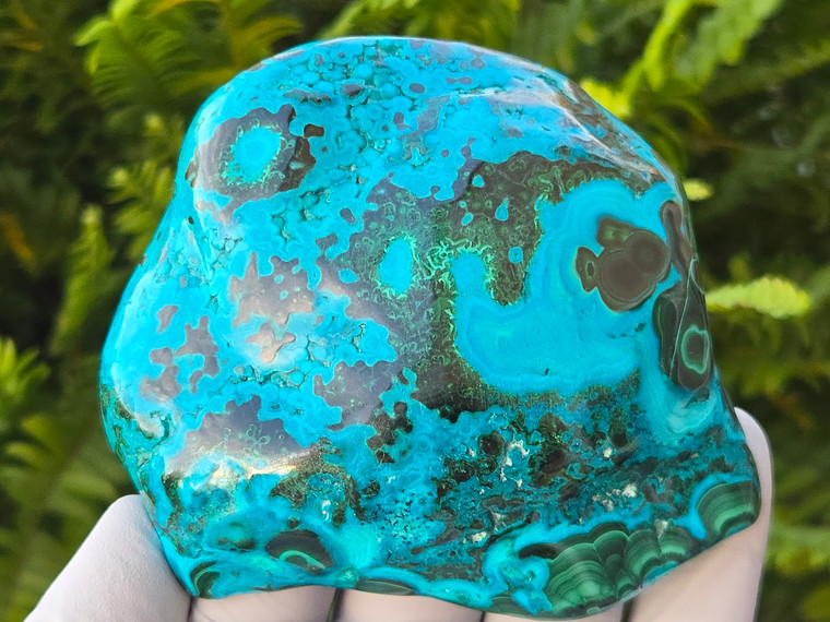 Chrysocolla and Malachite Rare Large Freeform Specimen (80 mm 329 gm) Natural Collectible Decorative Gift
