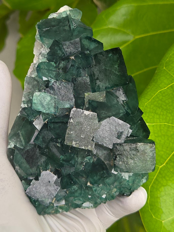 Green Cubic Fluorite Crystal specimen, Natural Mineral Cluster formations (GCL13) from Madagascar