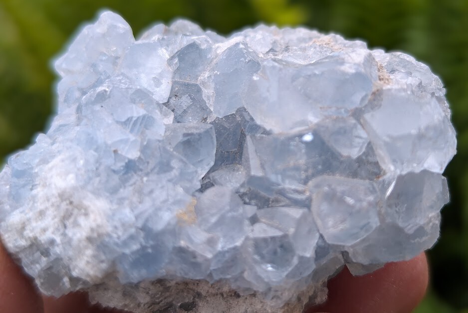 Celestites