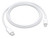 Apple USB-C to Lightning Cable (1m)
