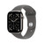 Apple Watch Series 11, Natural Titanium Case with Stone Grey Sport Band