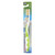 Mouth Watchers Antibacterial Adult Toothbrush Display Case - Green - Case Of 20