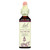 Bach Flower Remedies Essence Water Violet - 0.7 Fl Oz