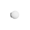 Orb Mirror Wall Light
