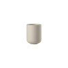Sensu Toothbrush Mug