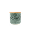 Iris Fragrance Coconut and Mango Candle