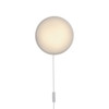 Looped Wall Ceiling Light