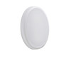 Looped Wall Ceiling Light