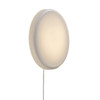 Looped Wall Ceiling Light