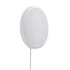 Looped Wall Ceiling Light