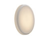 Looped Wall Ceiling Light