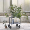 Muuto Flow Trolley 3 Layer