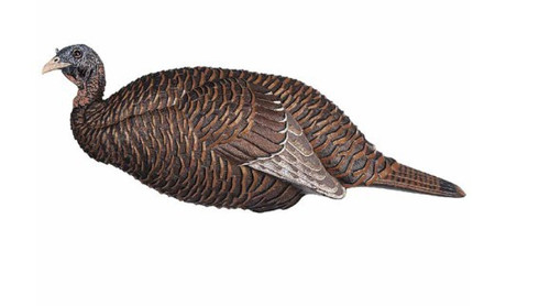 FLEXTONE THUNDER CHICK BREEDER HEN TURKEY DECOY