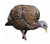 AVIAN-X LCD FEEDER HEN TURKEY DECOY