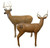 BIG SHOT PRO HUNTER Double Duty Buck Archery Target