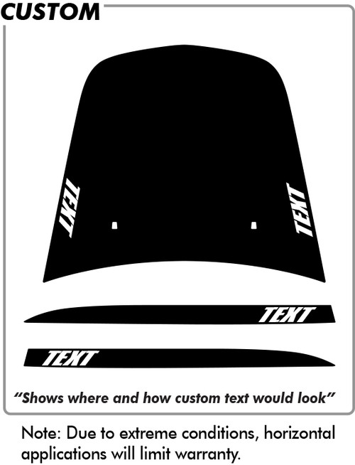 Dodge Charger Chargin 3 Sides (Blank) - Side - 06 thru 10 Dodge Charger Chargin 3 Sides (Blank) - Side - 06 thru 10