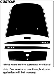 Dodge Charger Chargin 2 Back Panel (Blank) - Trunk - 06 thru 10 Dodge Charger Chargin 2 Back Panel (Blank) - Trunk - 06 thru 10