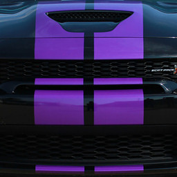 Dodge Charger N-Charge Rally 15 S-Pack - Rally - 15 & up Dodge Charger N-Charge Rally 15 S-Pack - Rally - 15 & up