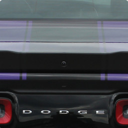 Dodge Challenger Finish Line #4 (no Spoiler / no XM) - Hood Roof Trunk - 11 thru 14 Dodge Challenger Finish Line #4 (no Spoiler / no XM) - Hood Roof Trunk - 11 thru 14