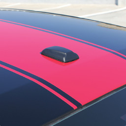 Dodge Challenger 15 Finish Line #1 (Lip Spoiler/XM) - Hood Roof Trunk - 15 & up Dodge Challenger 15 Finish Line #1 (Lip Spoiler/XM) - Hood Roof Trunk - 15 & up