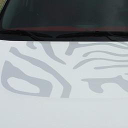 Kia Soul Kits Soul Cat - Hood, Side & Trunk - 8 thru 11 Kia Soul Kits Soul Cat - Hood, Side & Trunk - 8 thru 11